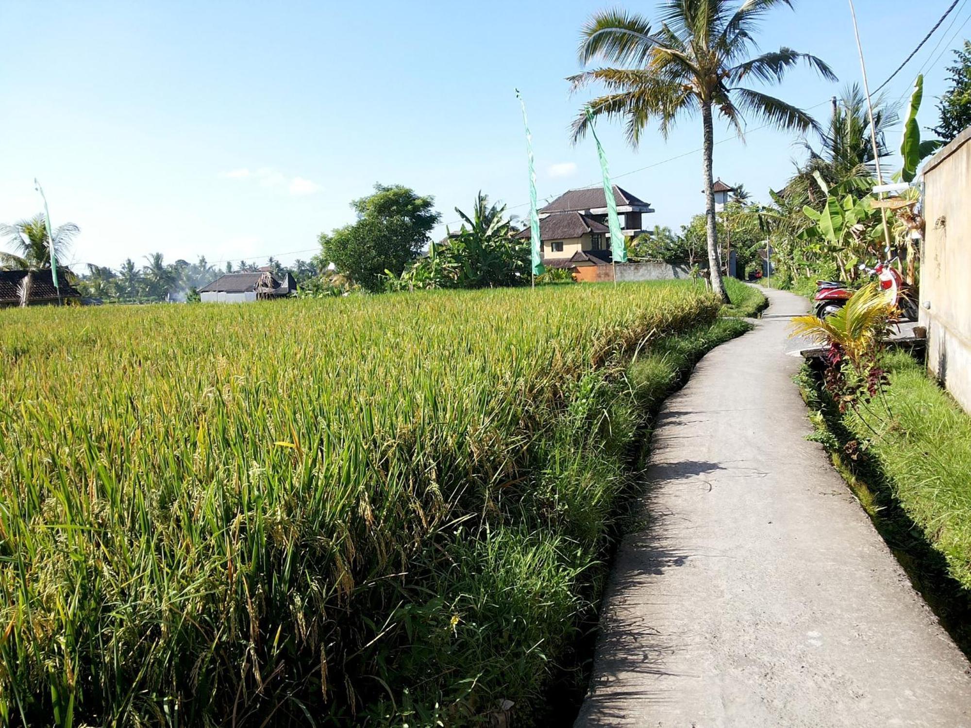 Jagi Villa Ubud Eksteriør bilde